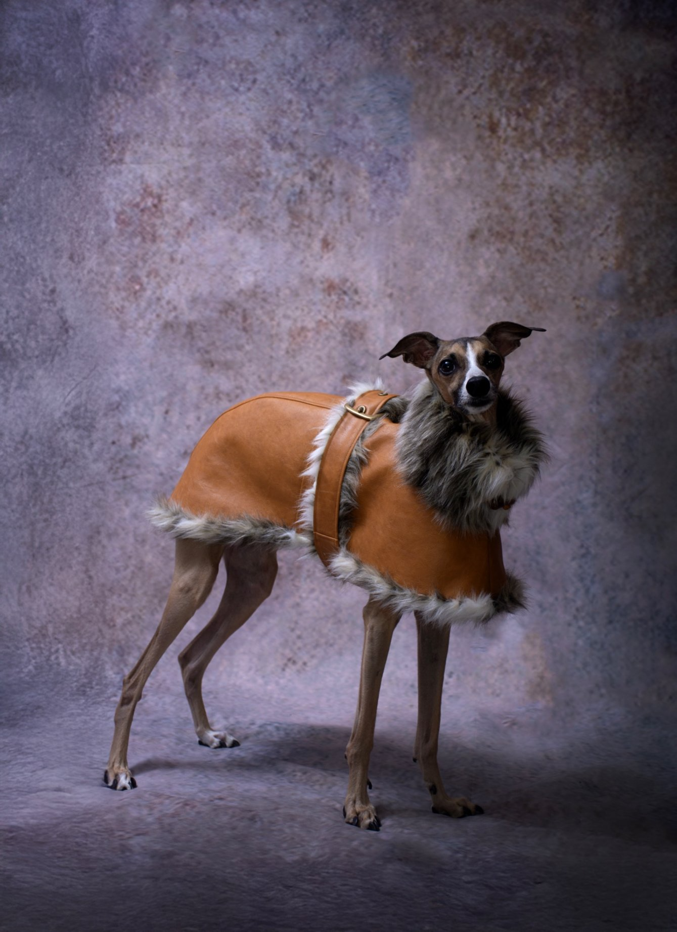 グレインレザーIGコート【MAPLE】