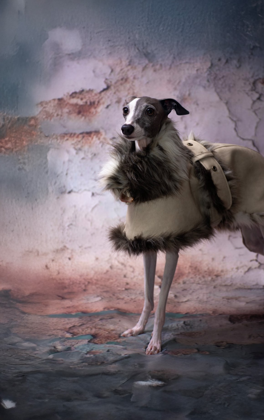 グレインレザーIGコート【SOY】