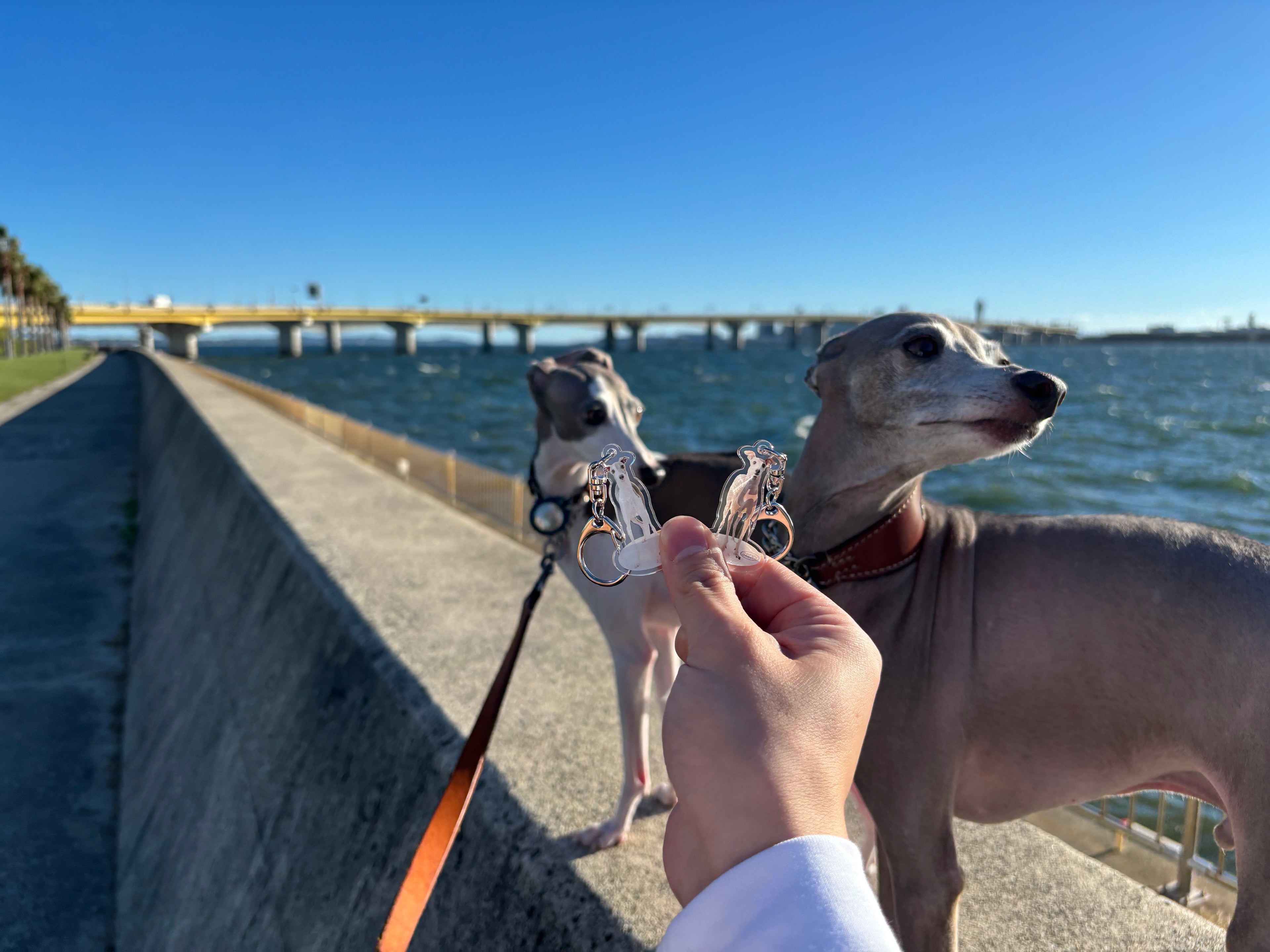 GREN.sアクリルキーホルダー【Glenn】