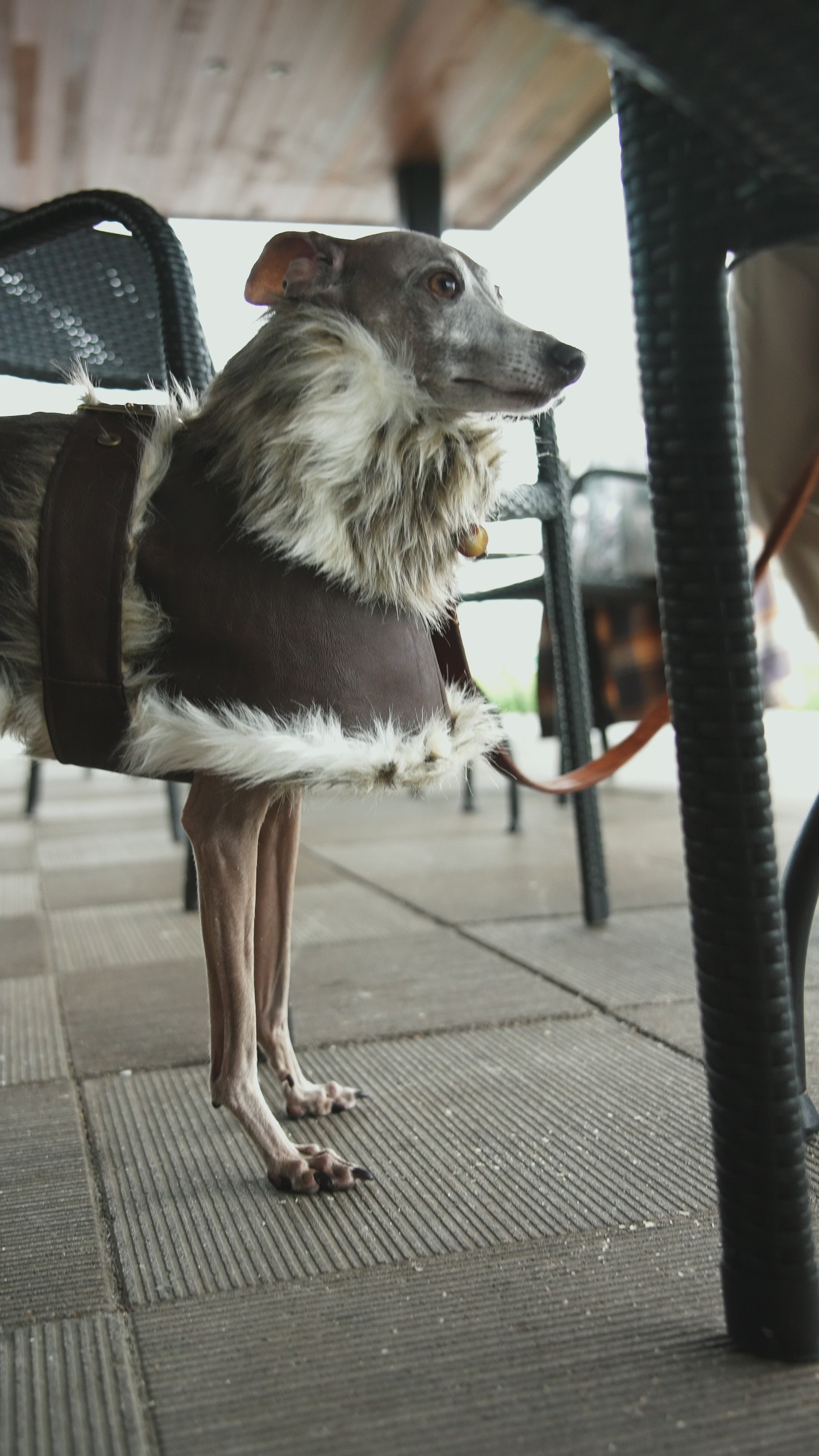 グレインレザーIGコート【CHOCO】